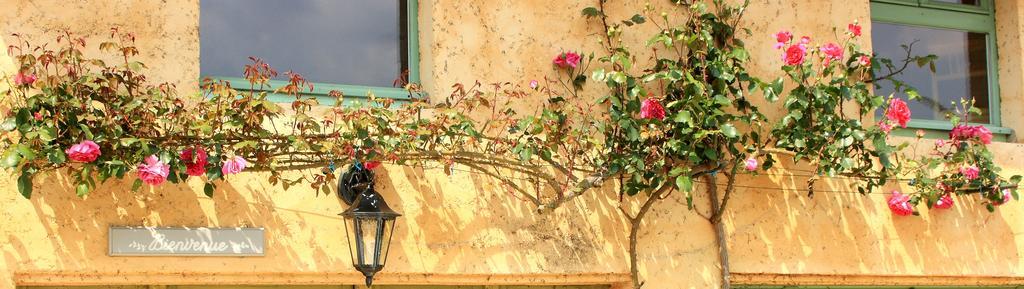Le Clos Cosy Hotel Archignac ภายนอก รูปภาพ